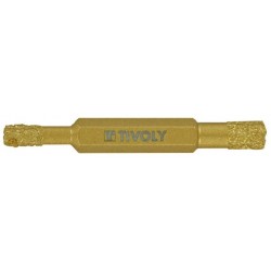 Diamond drill bit with...