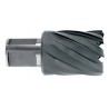 HSS TiAlN Core hole drill Weldon short series...
