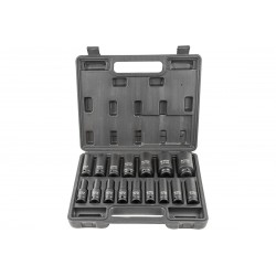 Smųginių galvučių rinkinys...