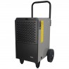 Dehumidifier 750W DEDRA9902