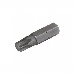 Antgalis 1/4 T-25 x 25 mm....