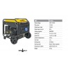 Invertora ģenerators 7,5 kW FFGROUP