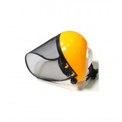 Protective mask with mesh