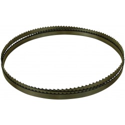 Zāģa asmens kokam 2400x16mm
