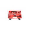 Injectors sealing seat cleaning kit (reibers)...