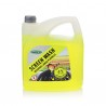 Ploviklis langų Screen Wash VASARA NANO 4 L Savex